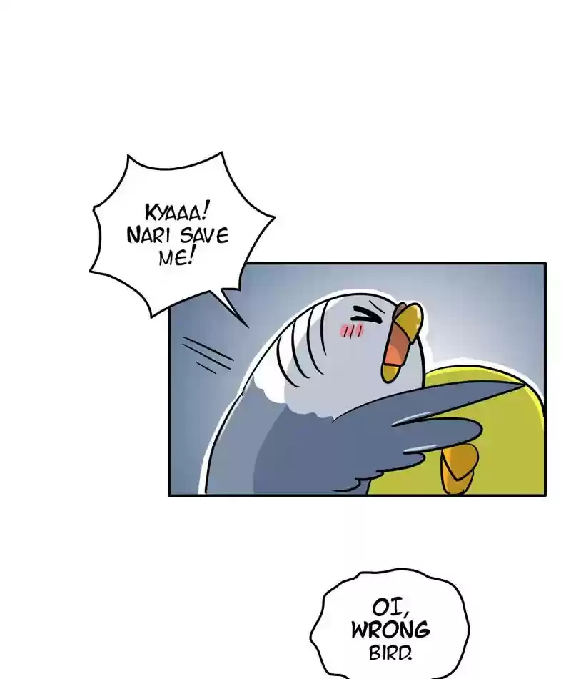 A Budgie's Life Chapter 288: Ep.287: