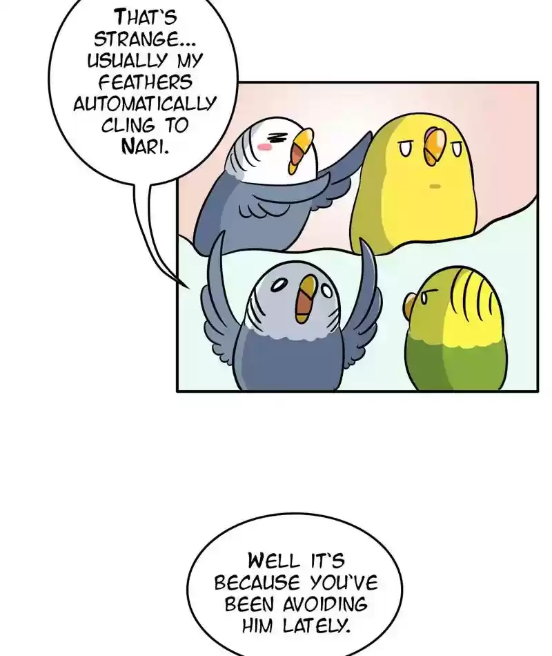 A Budgie's Life Chapter 288: Ep.287: