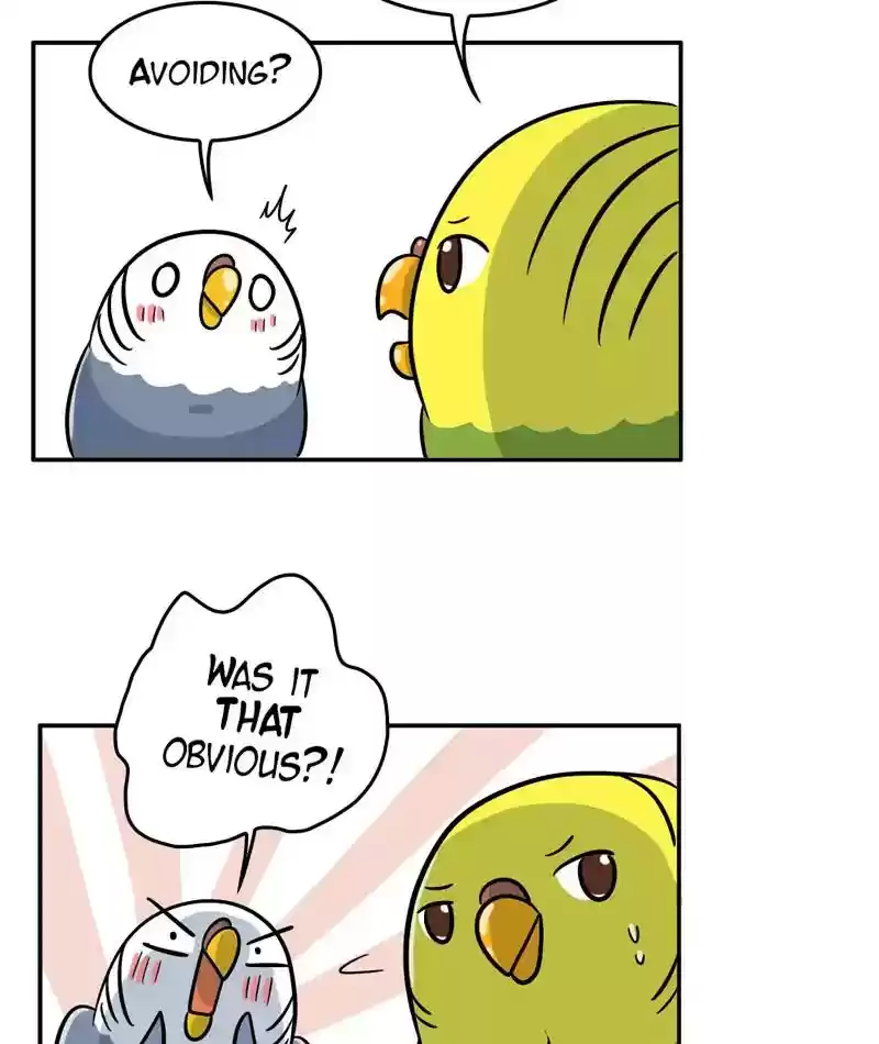 A Budgie's Life Chapter 288: Ep.287: