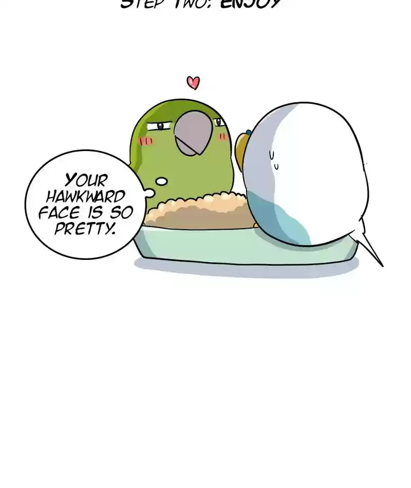 A Budgie's Life Chapter 288: Ep.287: