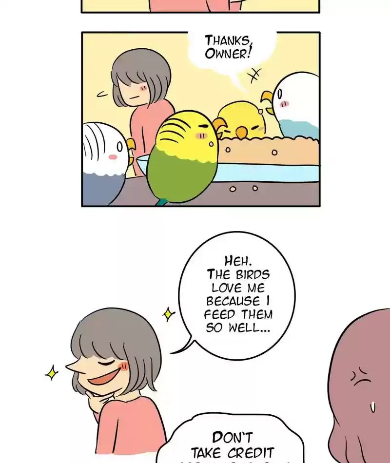 A Budgie's Life Chapter 289: Ep.288: