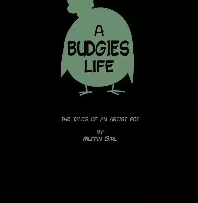 A Budgie's Life Chapter 29: Ep.29: