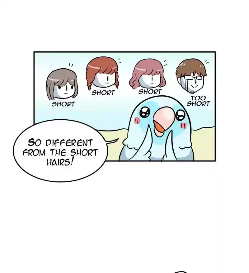 A Budgie's Life Chapter 290: Ep.289: