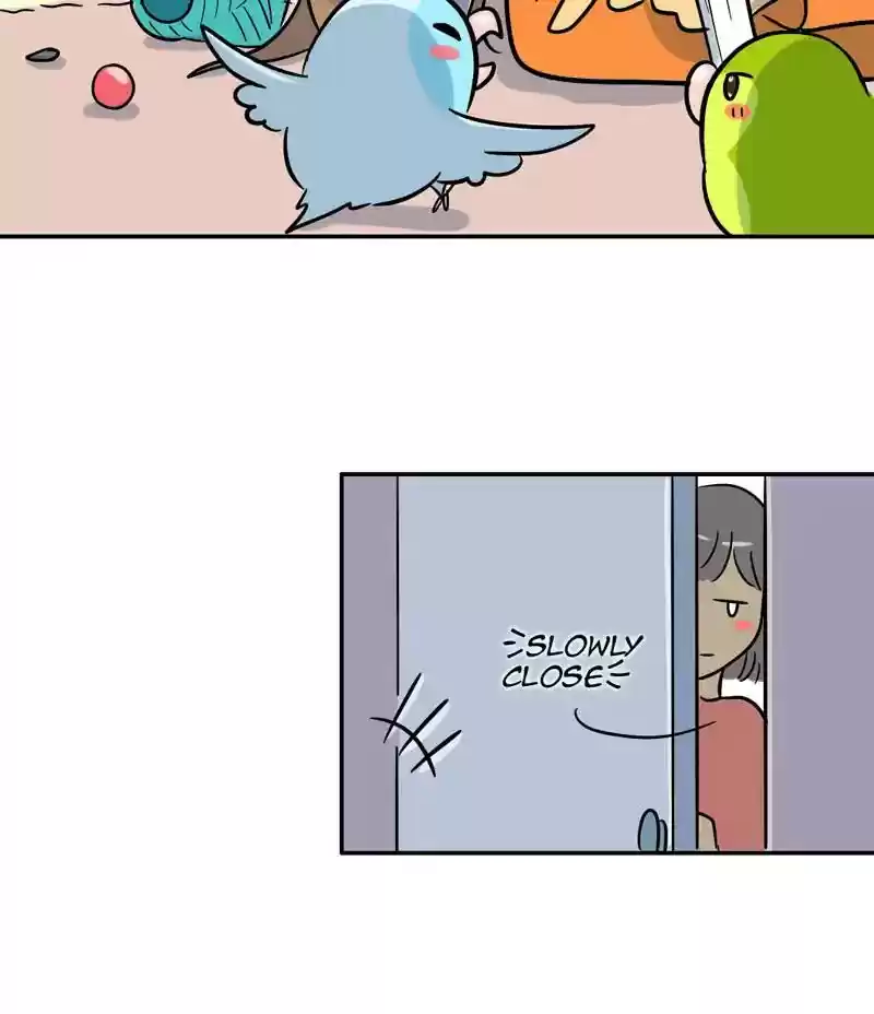 A Budgie's Life Chapter 290: Ep.289: