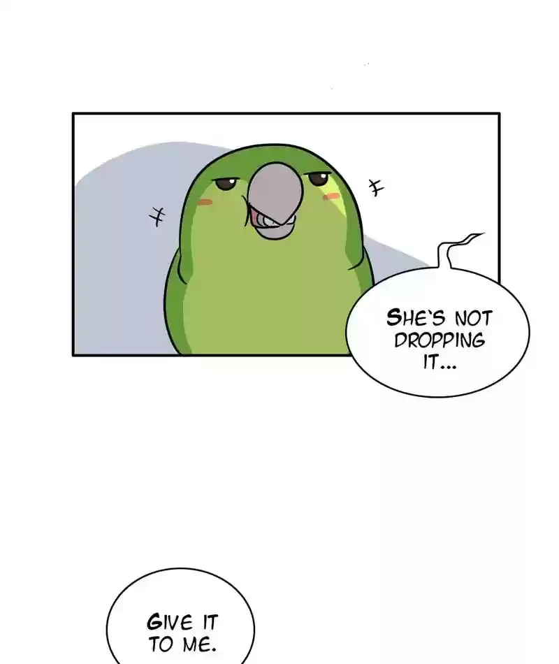 A Budgie's Life Chapter 291: Ep.290: