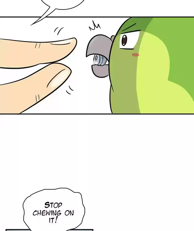 A Budgie's Life Chapter 291: Ep.290:
