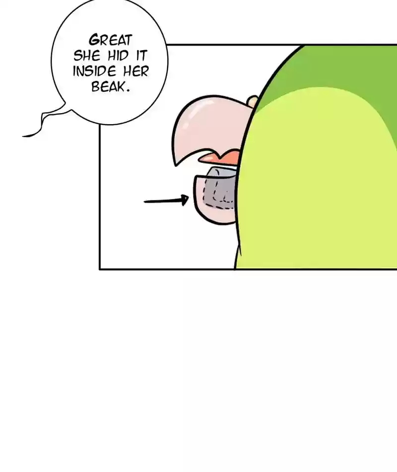 A Budgie's Life Chapter 291: Ep.290: