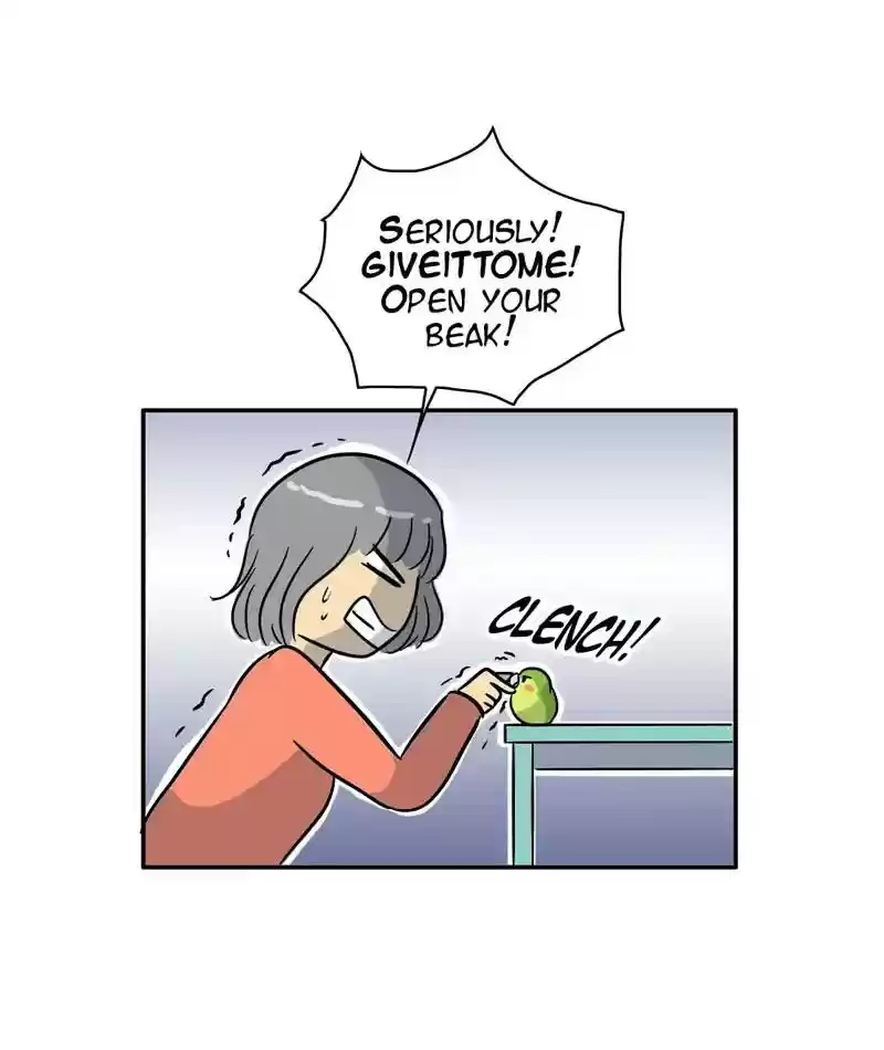 A Budgie's Life Chapter 291: Ep.290: