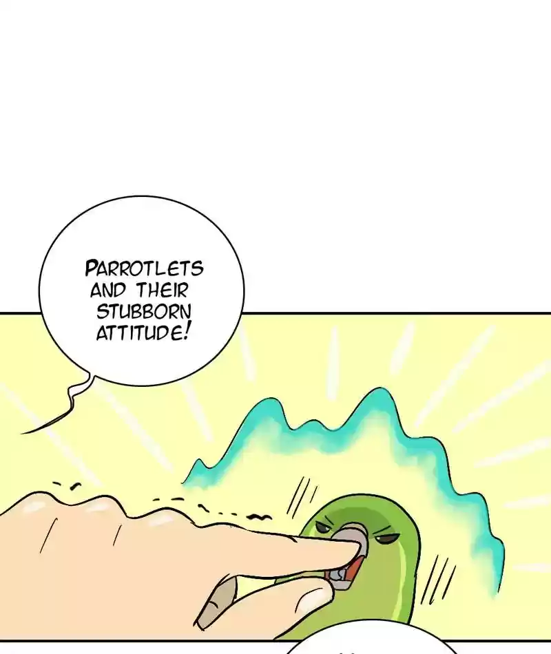 A Budgie's Life Chapter 291: Ep.290: