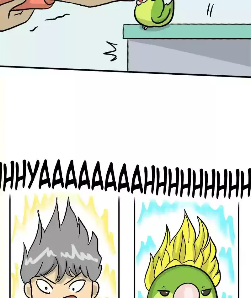 A Budgie's Life Chapter 291: Ep.290: