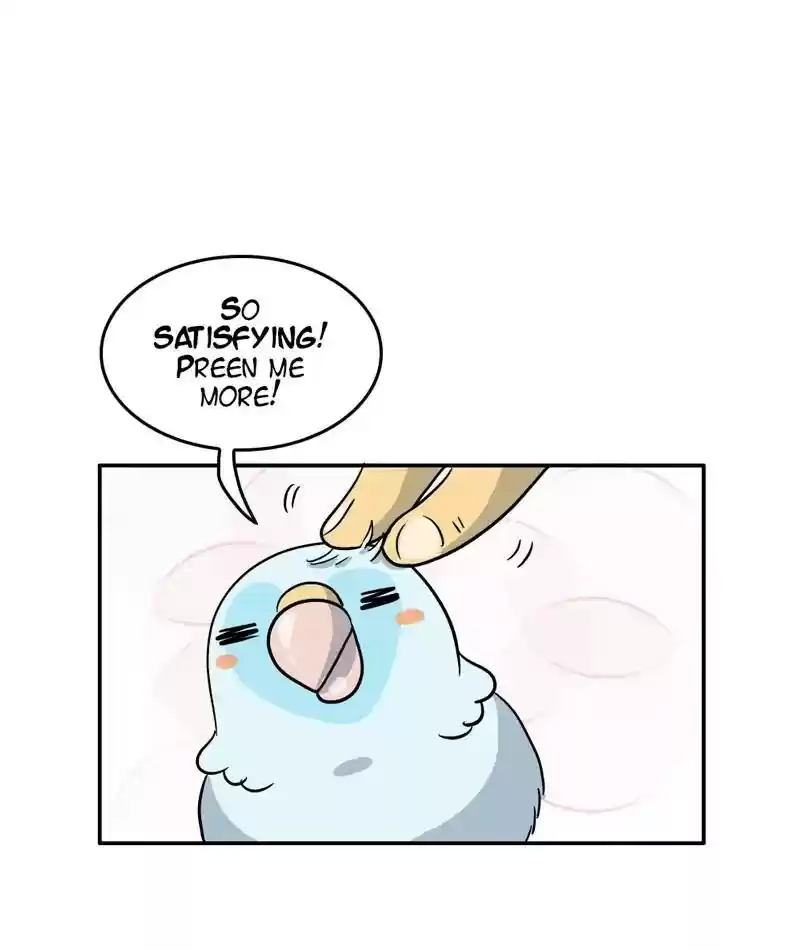 A Budgie's Life Chapter 292: Ep.291: