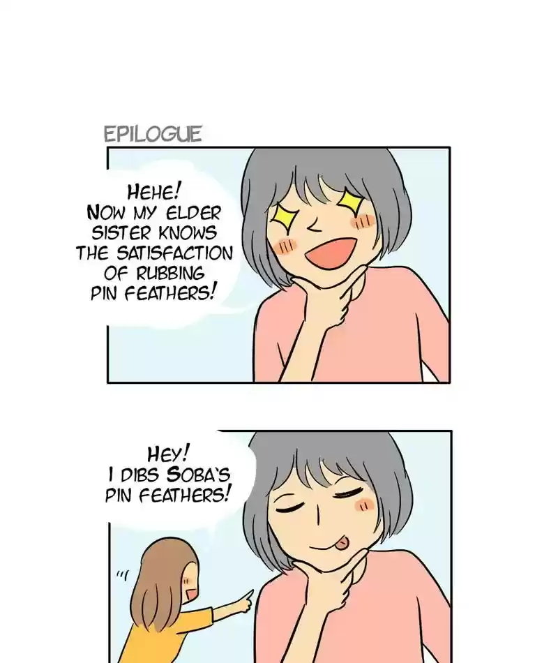 A Budgie's Life Chapter 292: Ep.291: