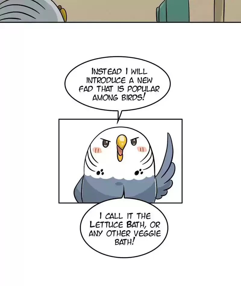 A Budgie's Life Chapter 293: Ep.292: