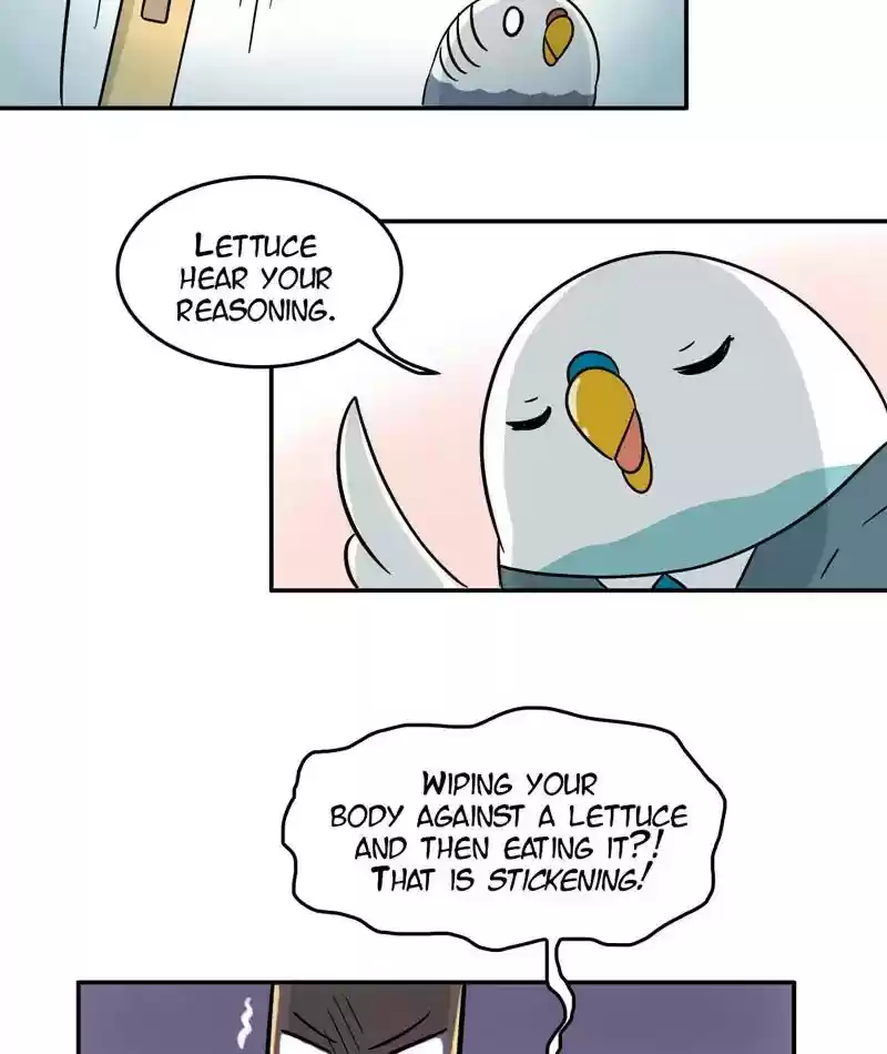 A Budgie's Life Chapter 293: Ep.292: