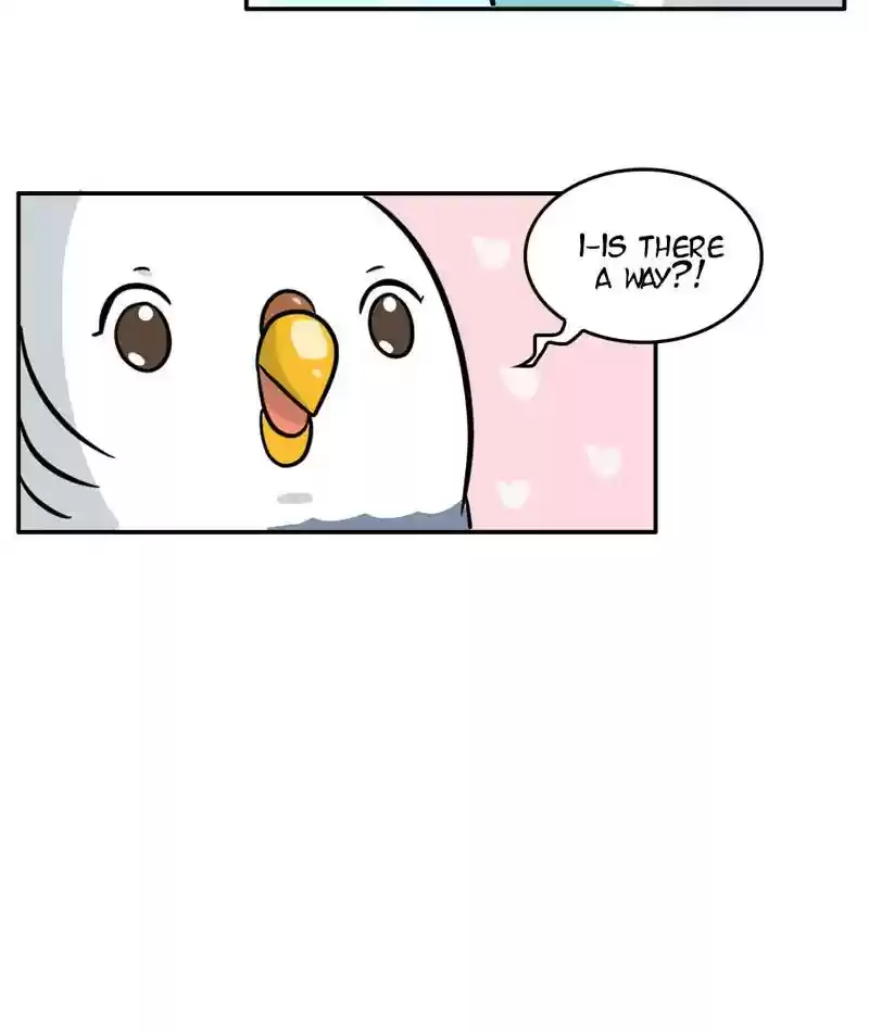 A Budgie's Life Chapter 293: Ep.292: