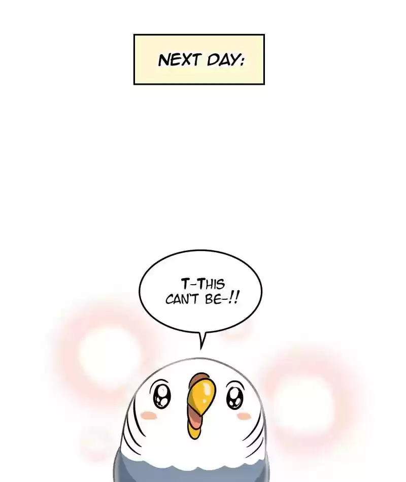 A Budgie's Life Chapter 293: Ep.292: