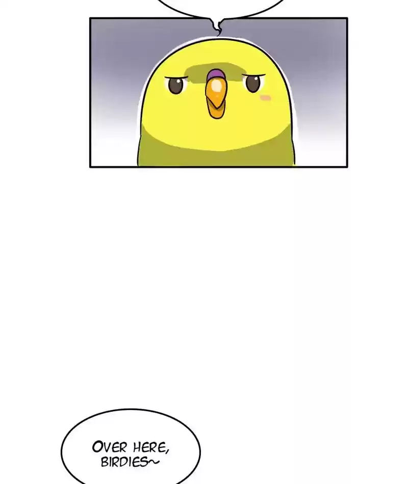 A Budgie's Life Chapter 293: Ep.292: