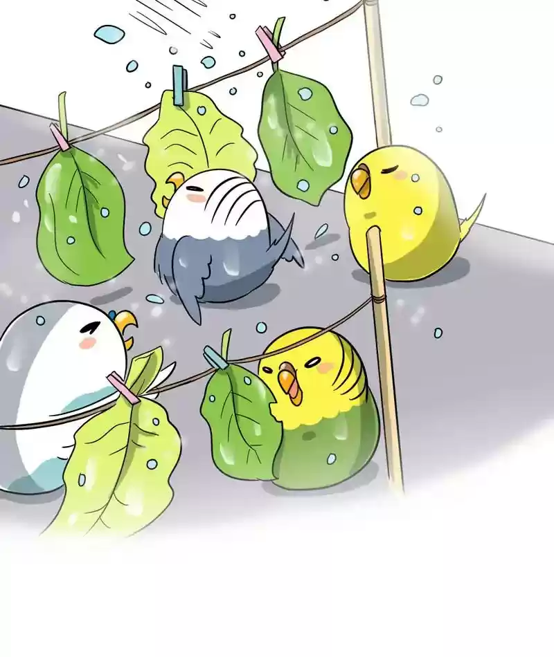 A Budgie's Life Chapter 293: Ep.292: