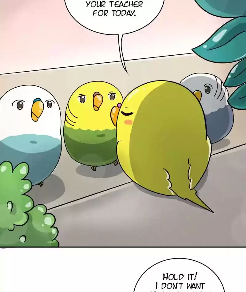 A Budgie's Life Chapter 294: Ep.293: