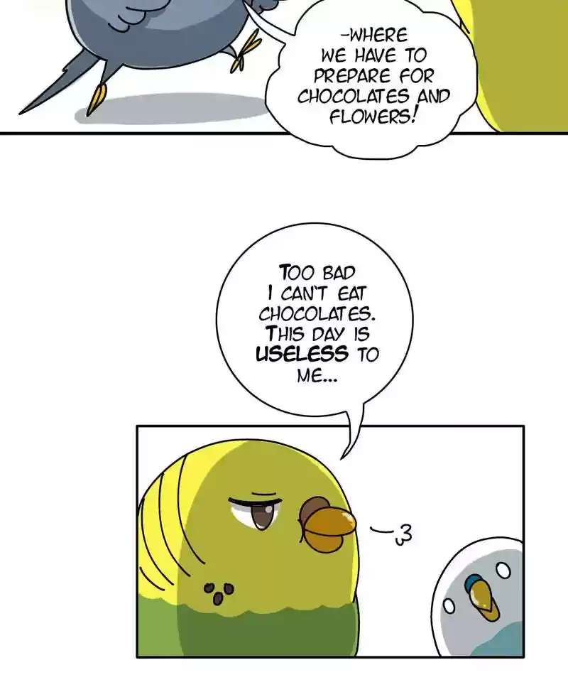 A Budgie's Life Chapter 294: Ep.293: