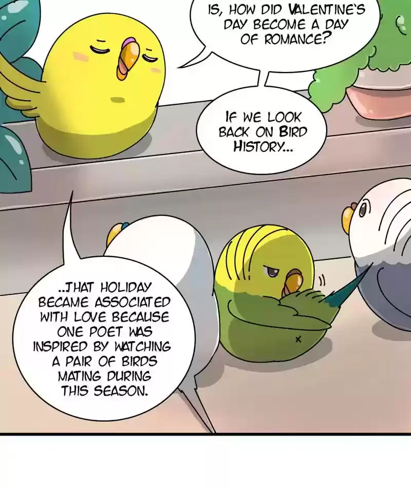 A Budgie's Life Chapter 294: Ep.293: