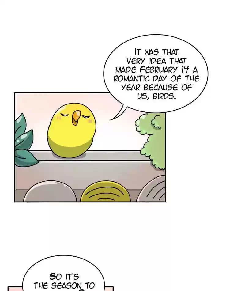 A Budgie's Life Chapter 294: Ep.293:
