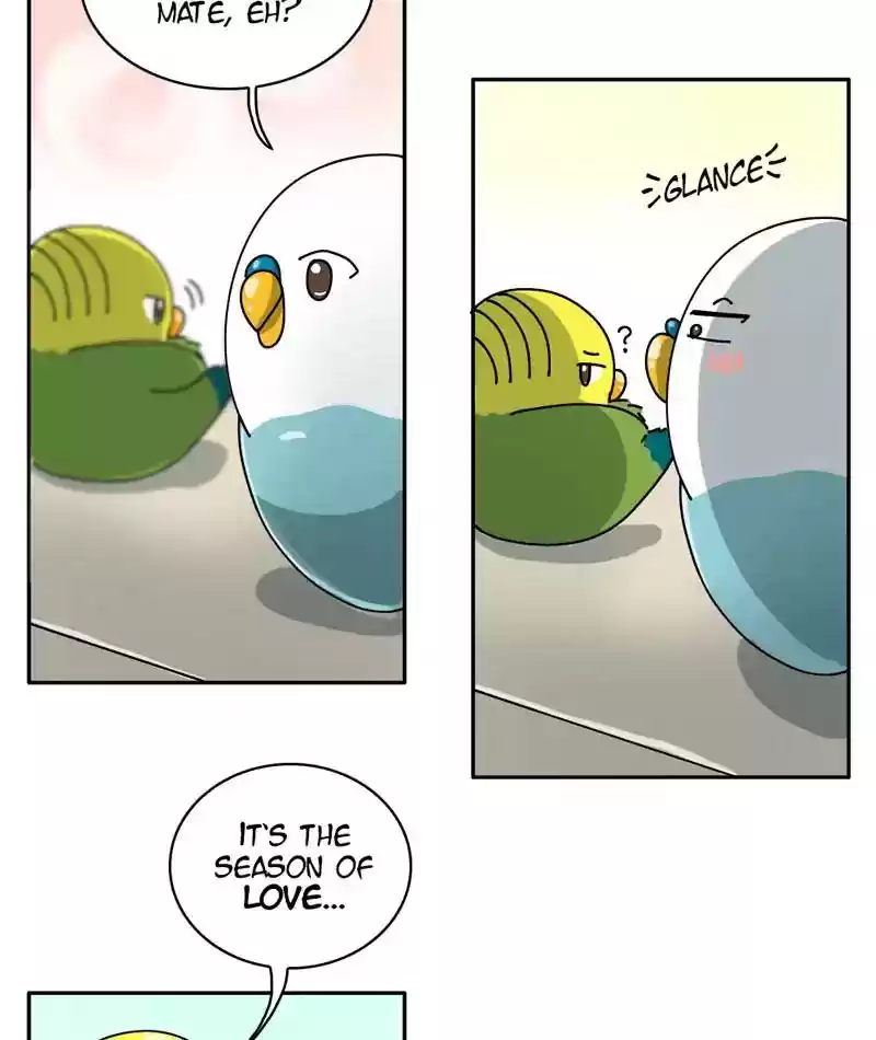 A Budgie's Life Chapter 294: Ep.293: