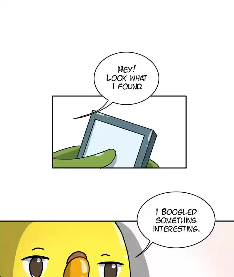 A Budgie's Life Chapter 294: Ep.293: