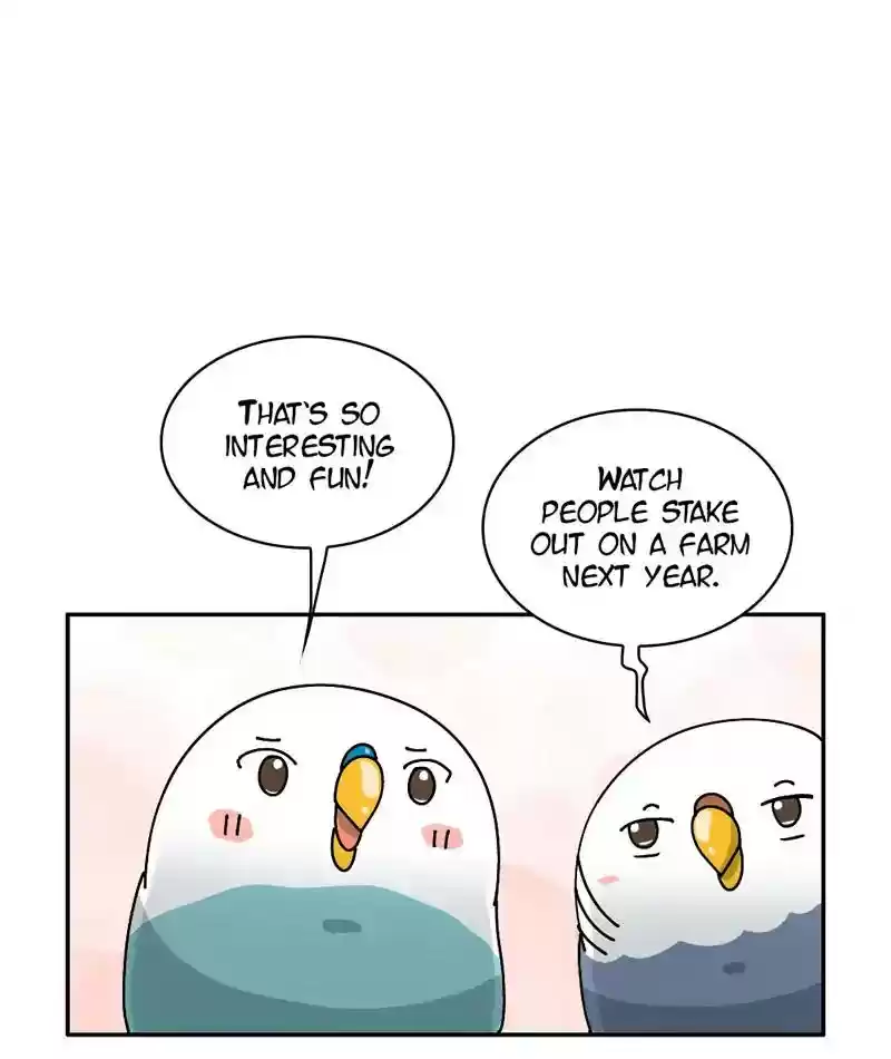 A Budgie's Life Chapter 294: Ep.293: