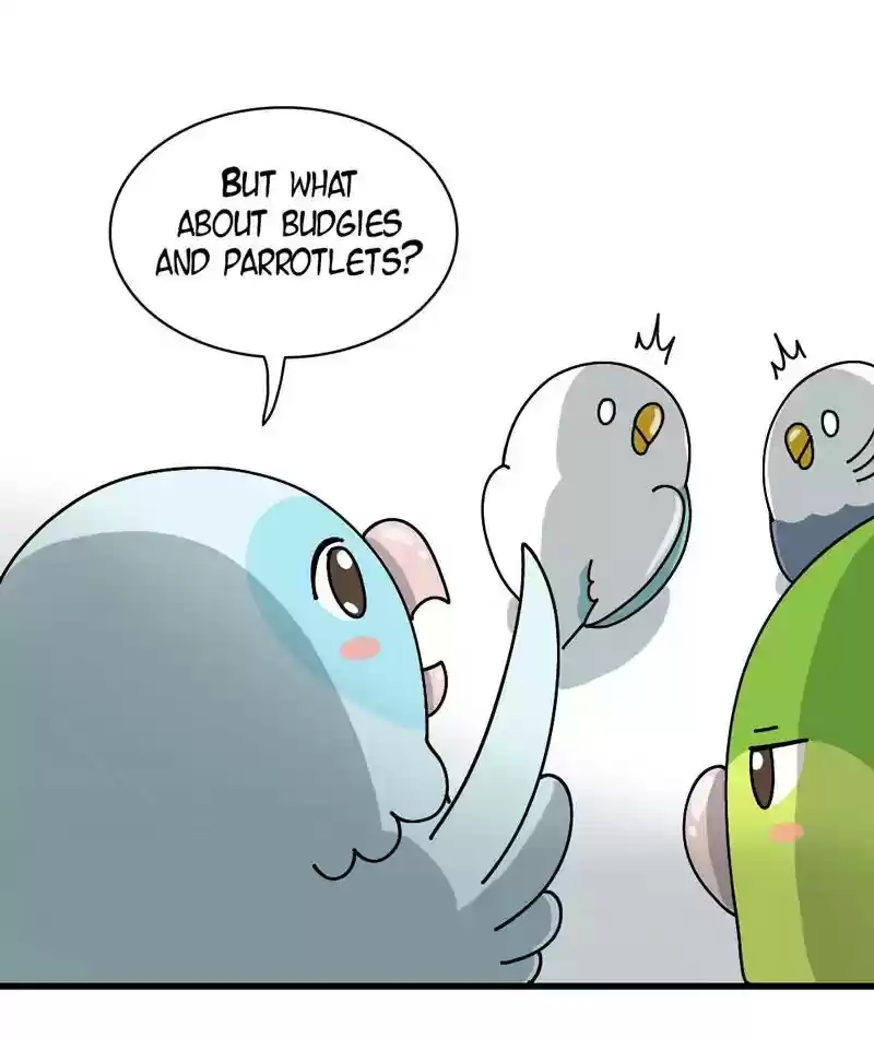 A Budgie's Life Chapter 294: Ep.293: