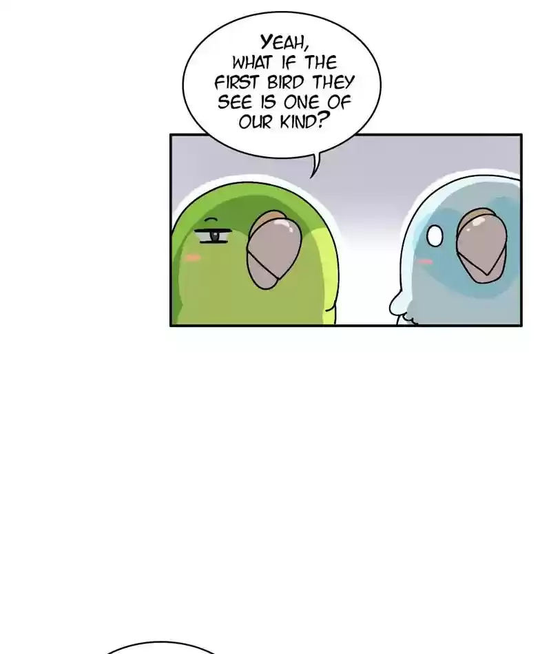 A Budgie's Life Chapter 294: Ep.293: