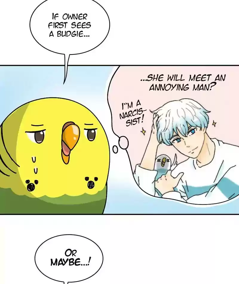 A Budgie's Life Chapter 294: Ep.293:
