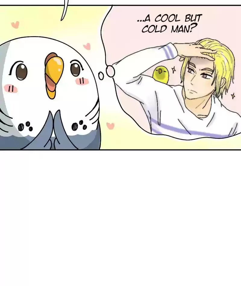 A Budgie's Life Chapter 294: Ep.293: