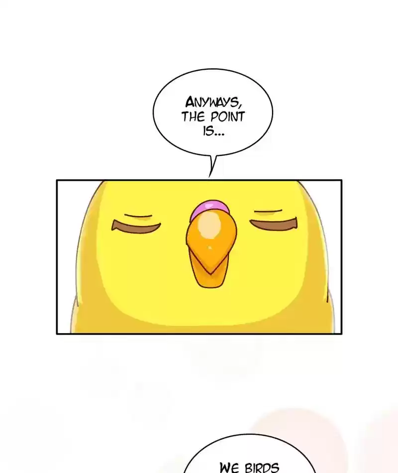 A Budgie's Life Chapter 294: Ep.293: