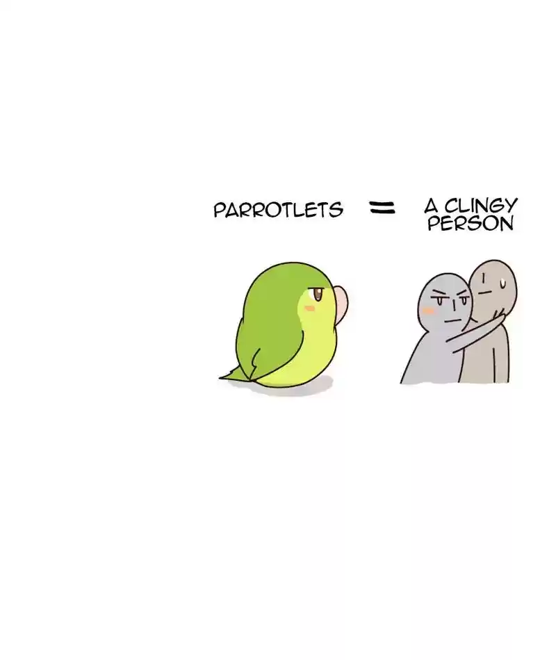 A Budgie's Life Chapter 294: Ep.293: