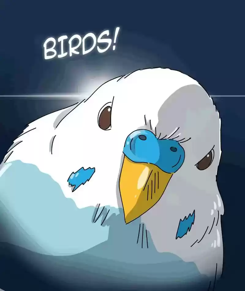 A Budgie's Life Chapter 295: Ep.294:
