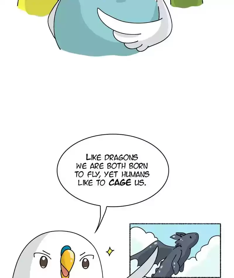 A Budgie's Life Chapter 296: Ep.295: