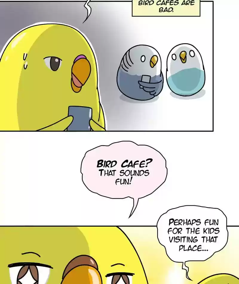 A Budgie's Life Chapter 296: Ep.295: