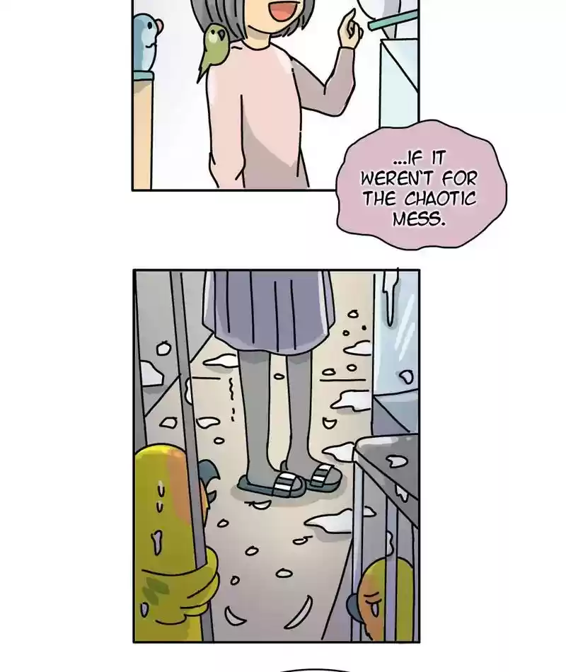 A Budgie's Life Chapter 296: Ep.295: