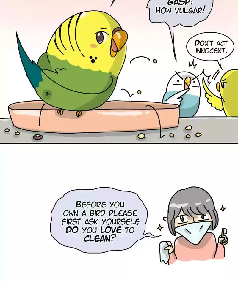 A Budgie's Life Chapter 296: Ep.295: