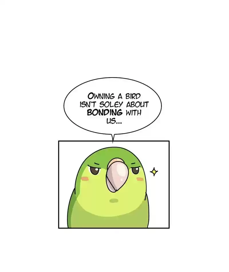 A Budgie's Life Chapter 296: Ep.295: