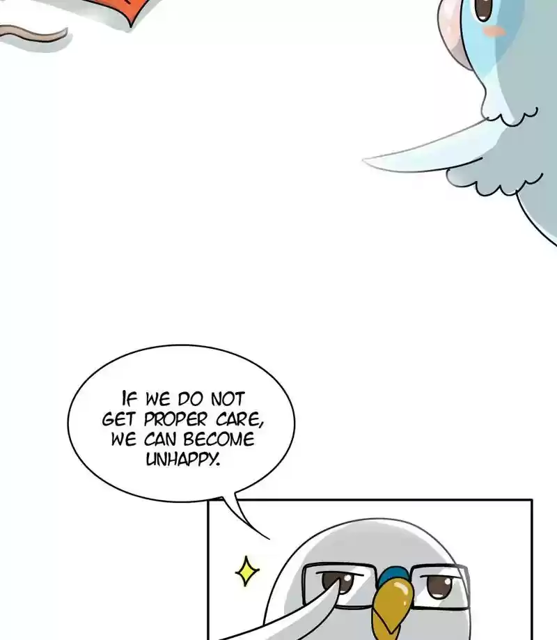 A Budgie's Life Chapter 296: Ep.295: