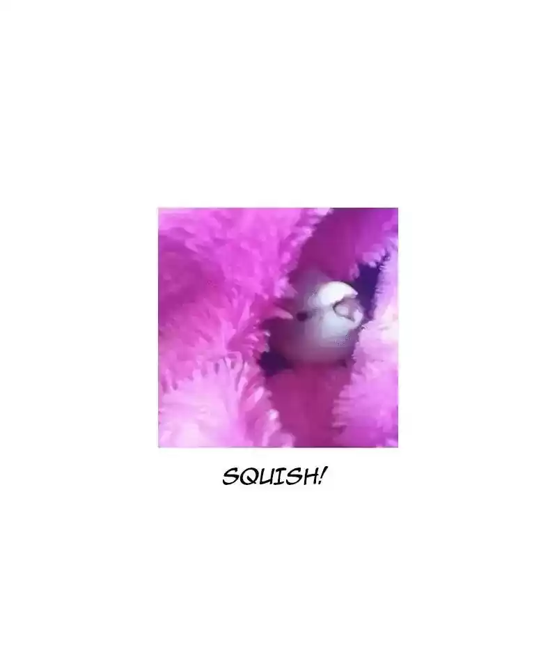 A Budgie's Life Chapter 297: Ep.296: