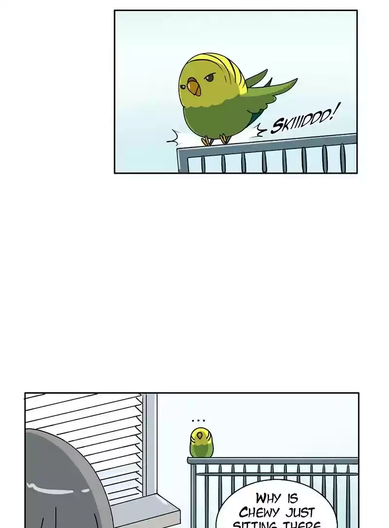 A Budgie's Life Chapter 298: Ep.297: