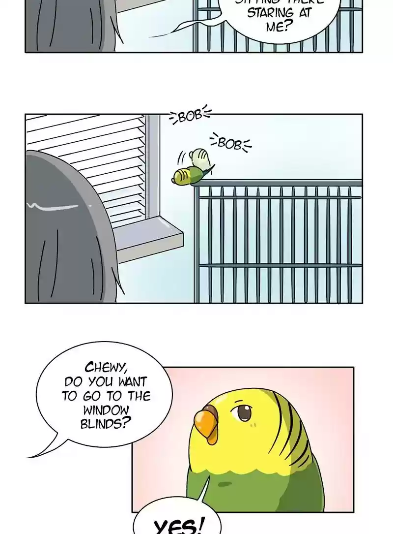 A Budgie's Life Chapter 298: Ep.297: