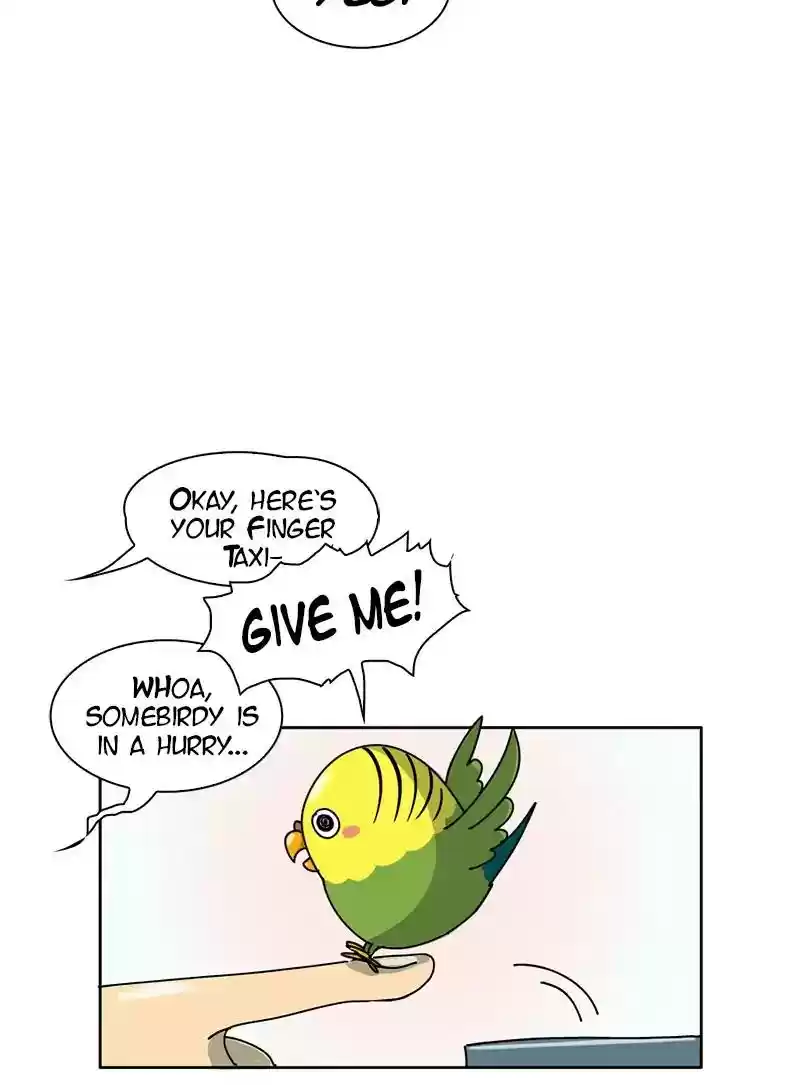A Budgie's Life Chapter 298: Ep.297: