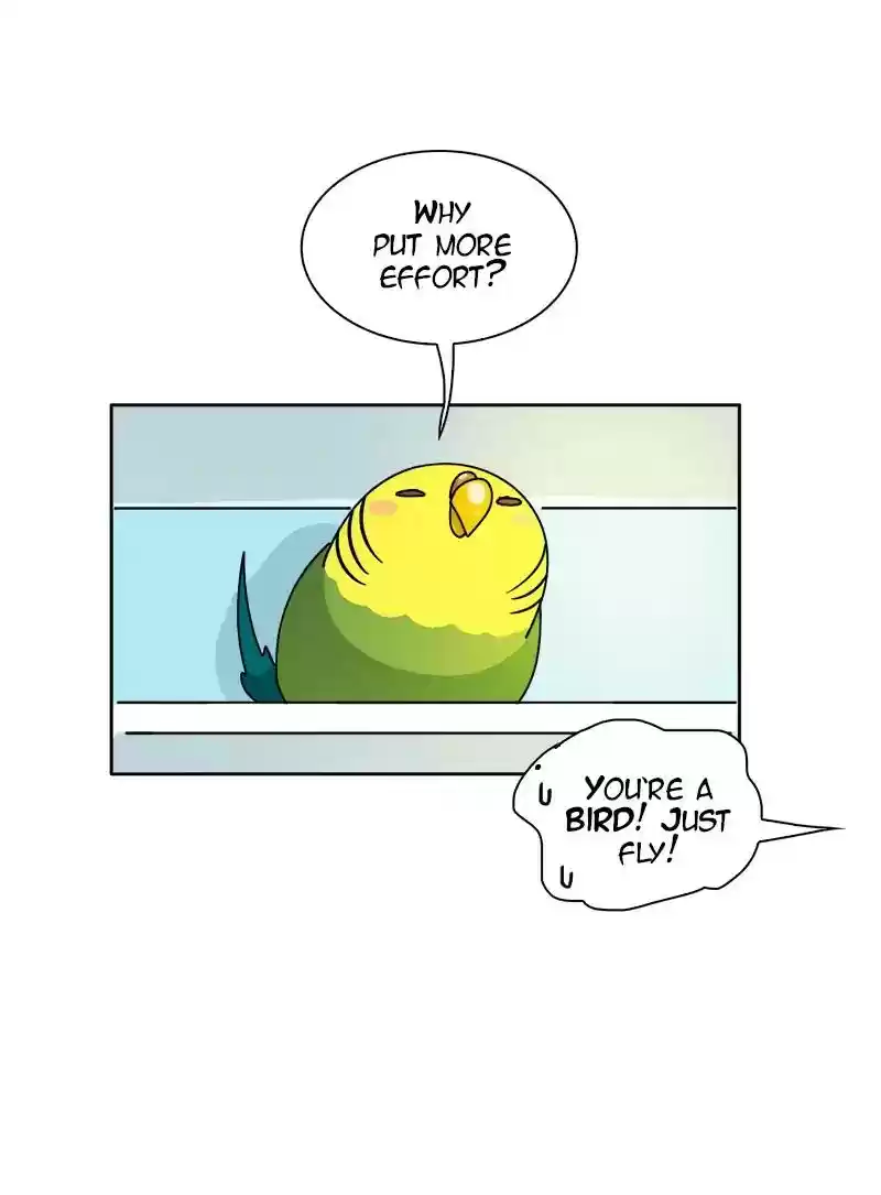 A Budgie's Life Chapter 298: Ep.297: