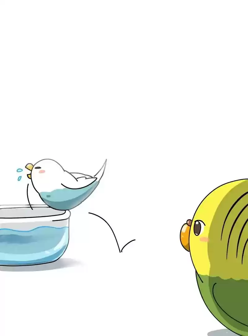 A Budgie's Life Chapter 298: Ep.297: