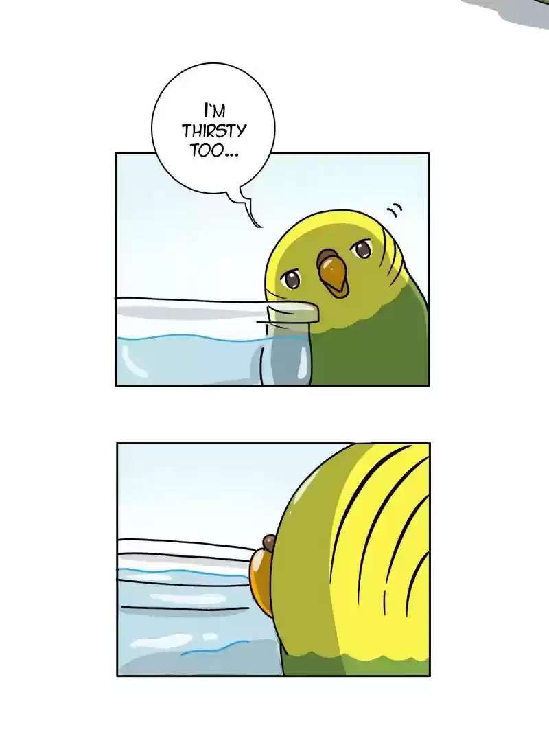 A Budgie's Life Chapter 298: Ep.297:
