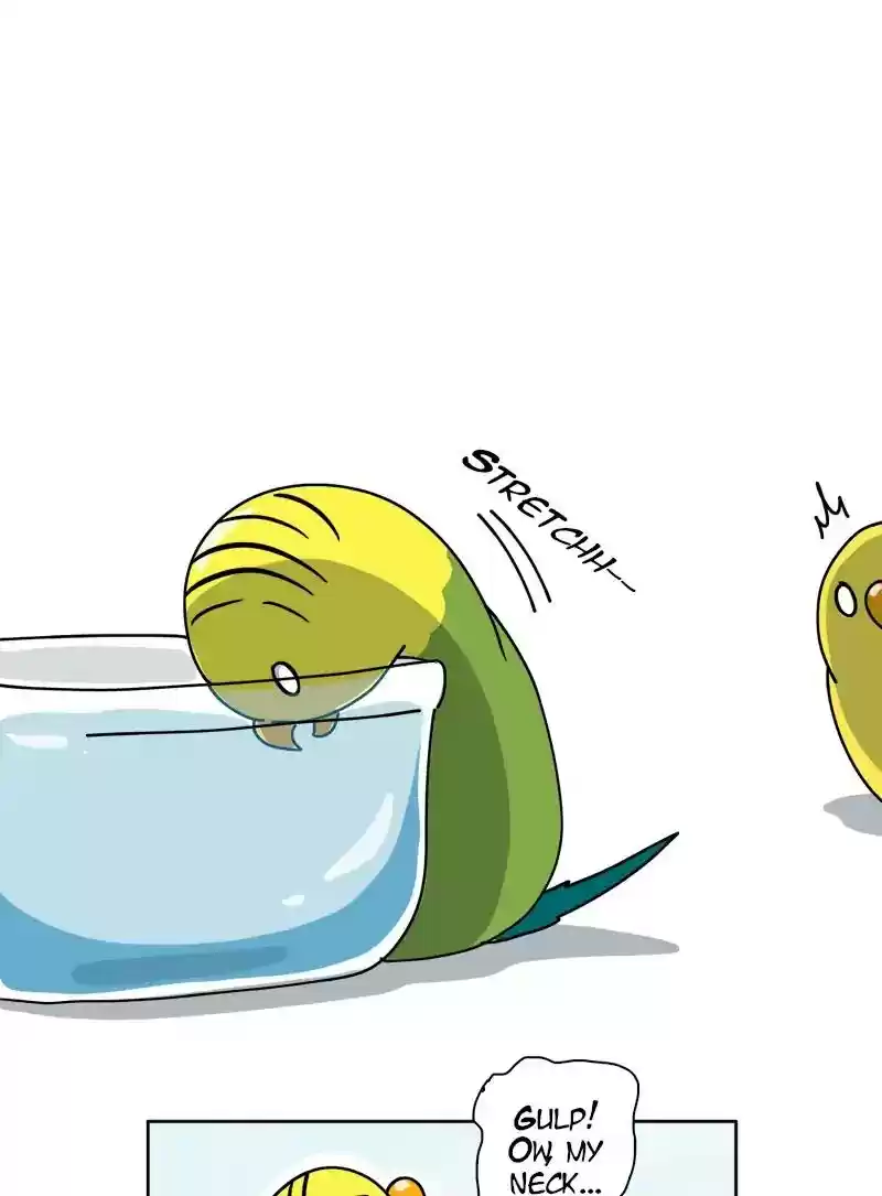 A Budgie's Life Chapter 298: Ep.297: